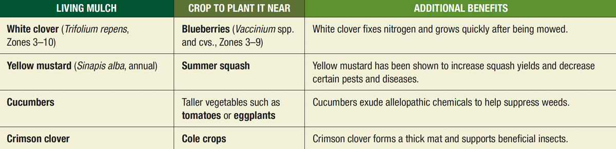 living mulch chart