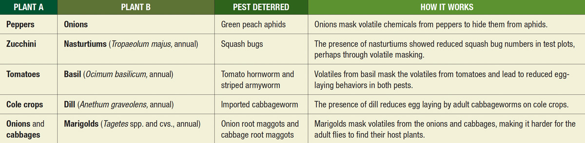 deterring pests chart 