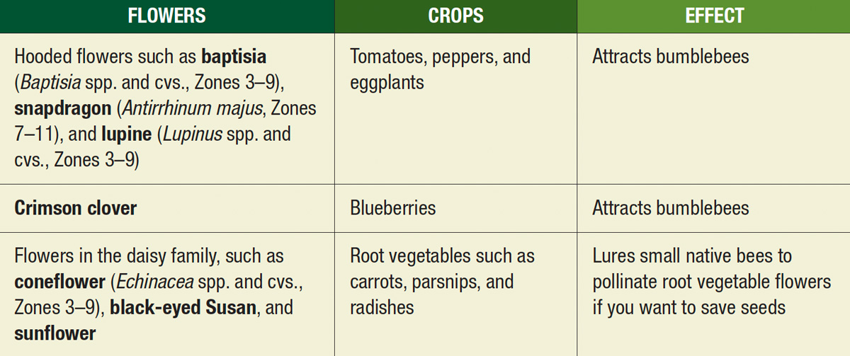 pollinator chart