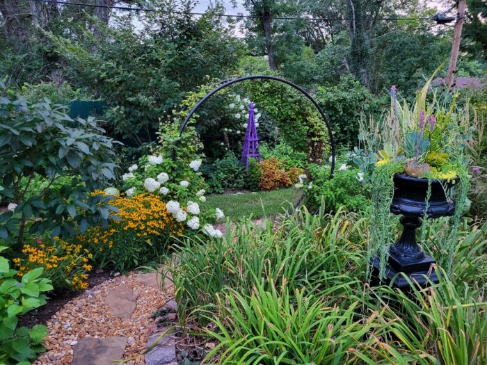 round metal garden arch surrounded by plants