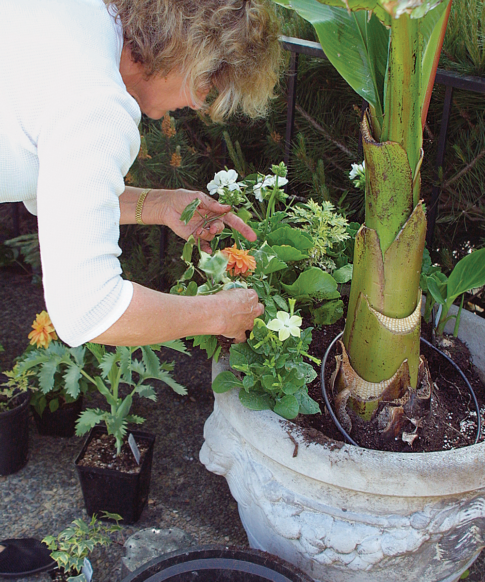 Planting a Pot with Lots of Plants - FineGardening