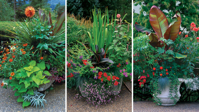 Planting a Pot with Lots of Plants - FineGardening