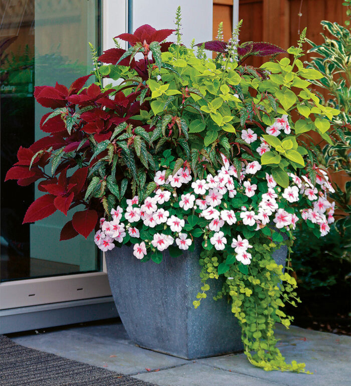 Stand-Out Designs for Stand-Alone Containers: Part 1 - FineGardening