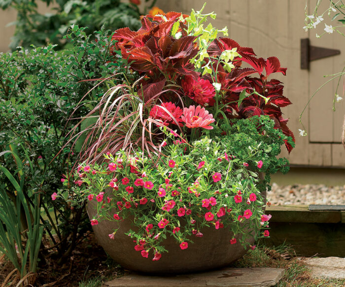 Stand-Out Designs for Stand-Alone Containers: Part 1 - FineGardening