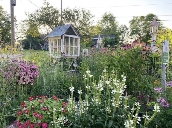 garden bed with white and pink flowers