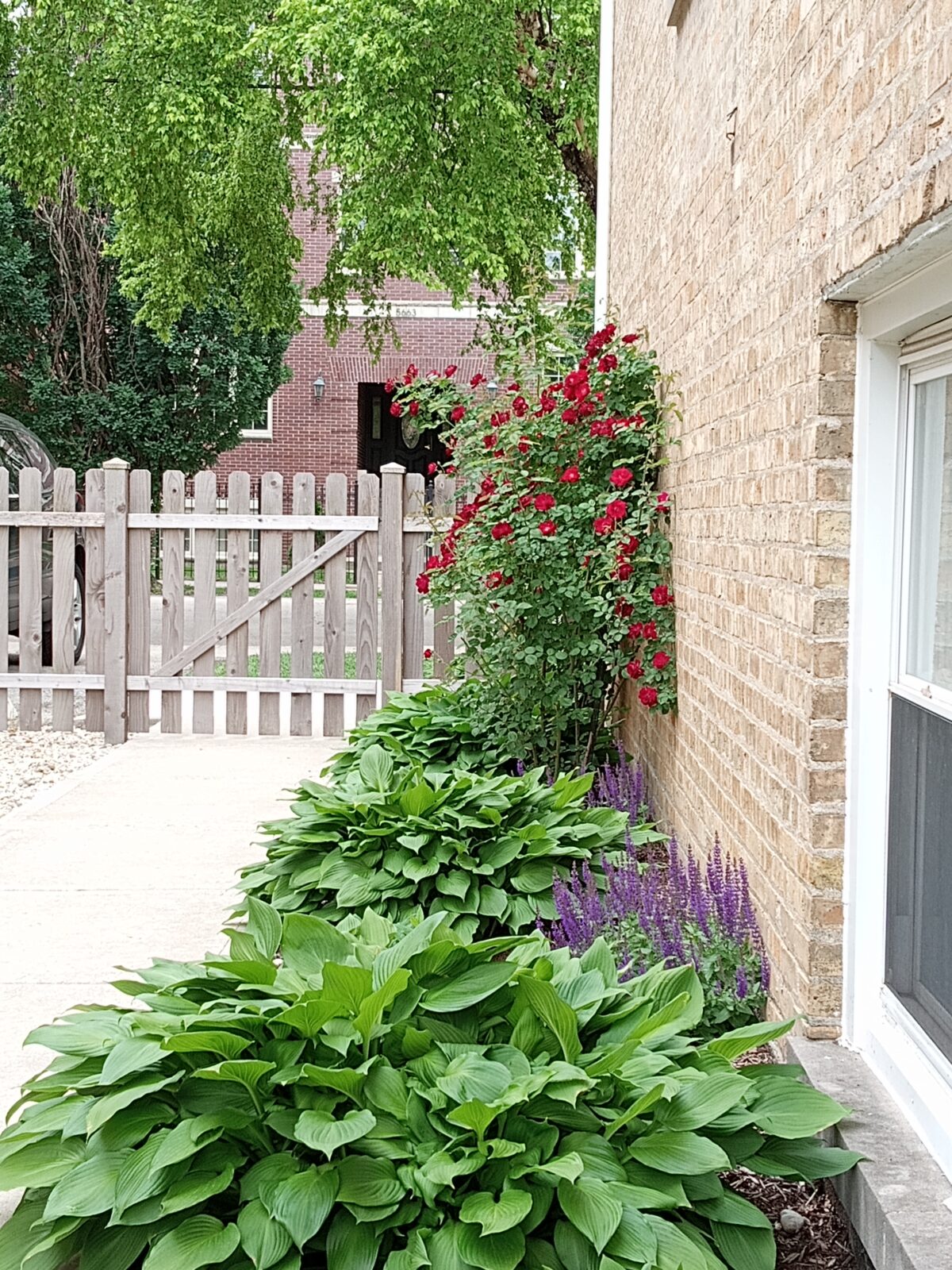Gardening for a Friend - Fine Gardening