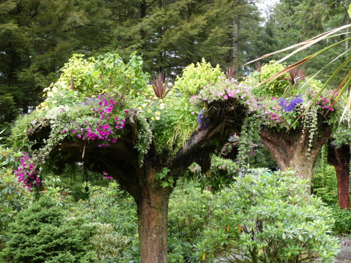 upside down tree planted as a container with overflowing flowers