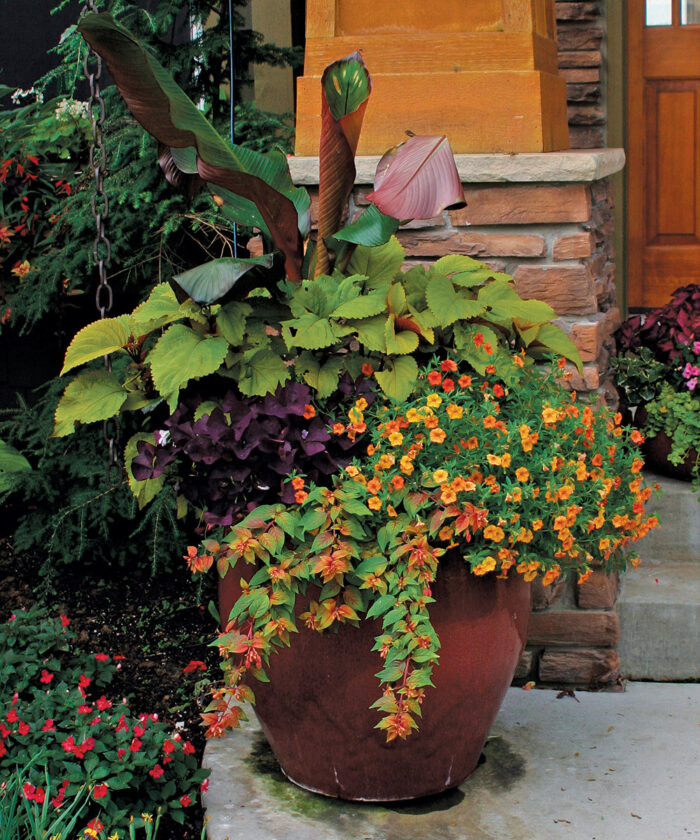 Stand-Out Designs for Stand-Alone Containers: Part 2 - FineGardening