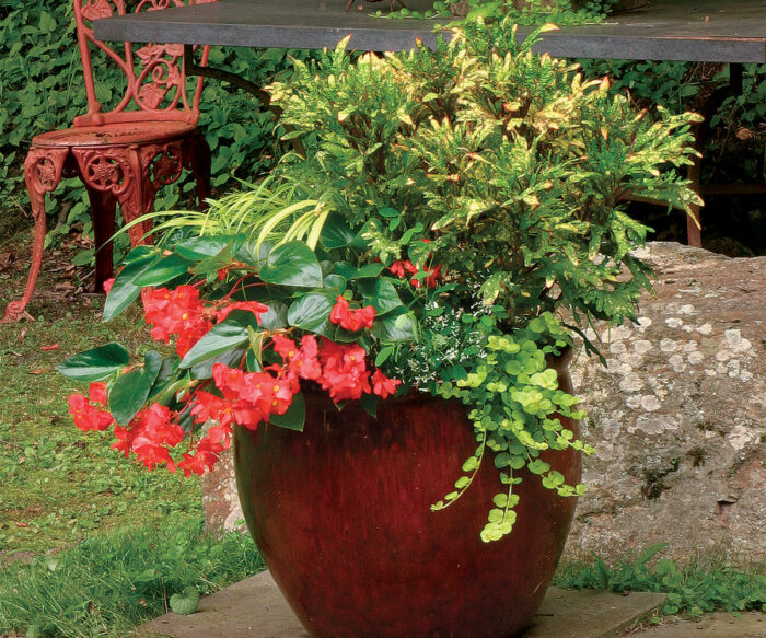 Stand-Out Designs for Stand-Alone Containers: Part 2 - FineGardening