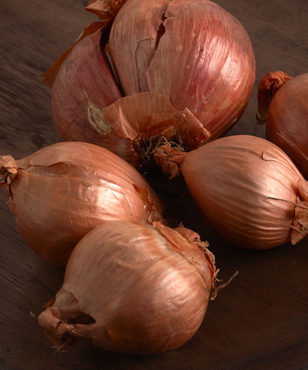 Zebrune Shallot Onion Seeds – Botanical Interests