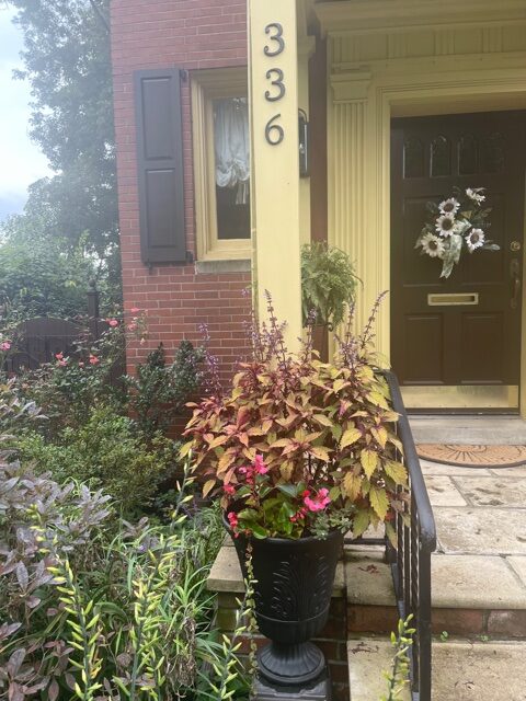 plants next to the front porch