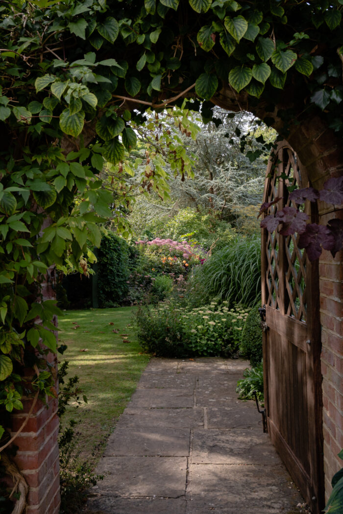 gate covered in vines that leads to lush garden