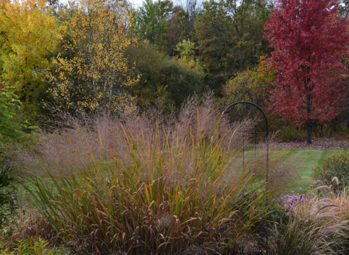 Fall in John’s Garden - Fine Gardening