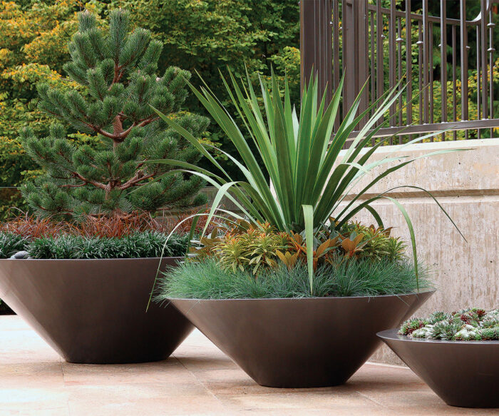 Change a Space with Seasonal Containers - Fine Gardening