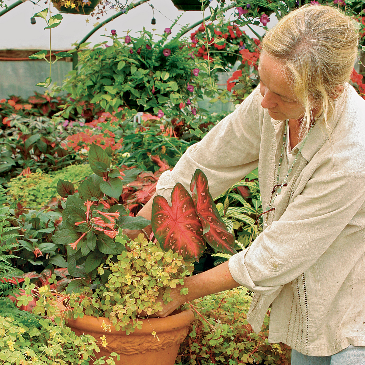 potting plant container