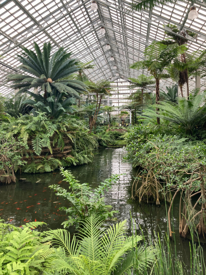 inside Garfield Park Conservatory