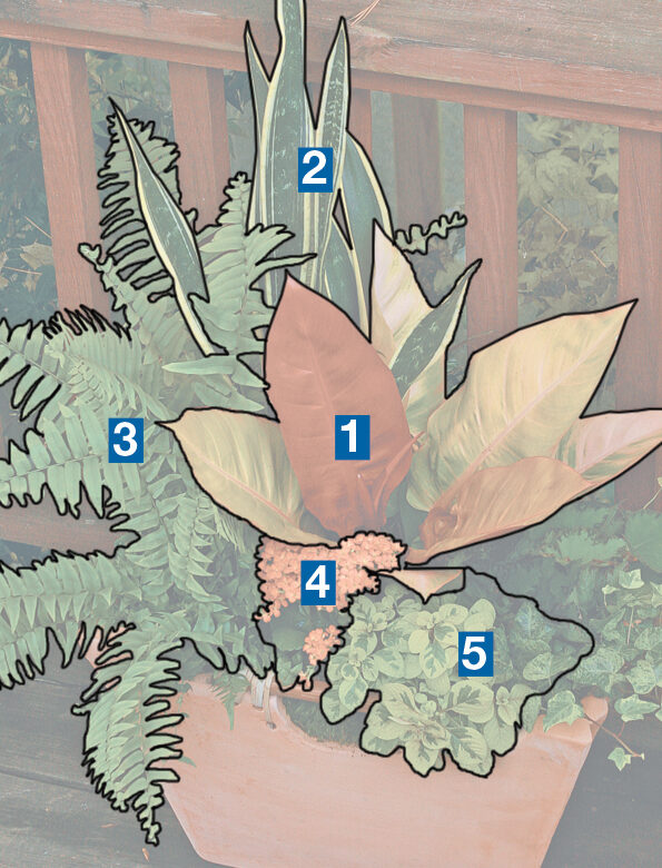 Use contrasting, shapely foliage as the main player container labeled