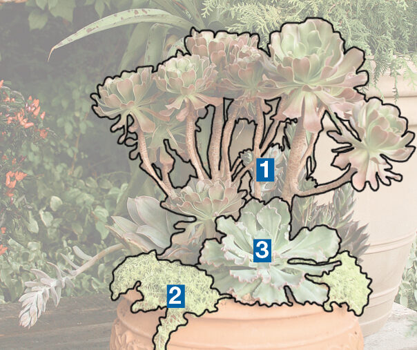 Create balance by pairing like-size plants container labeled