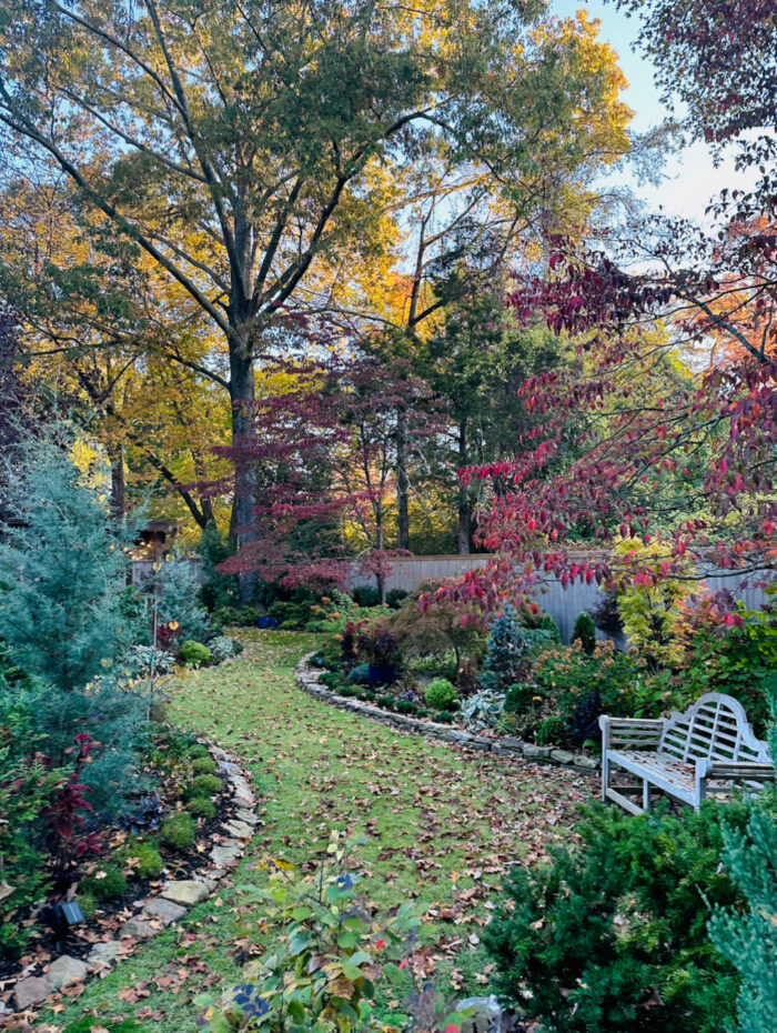 Seasons in Renee’s Garden - Fine Gardening