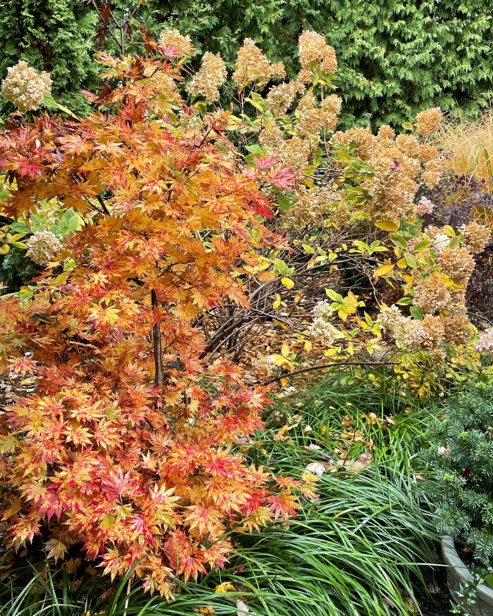 nick-s-michigan-garden-fine-gardening