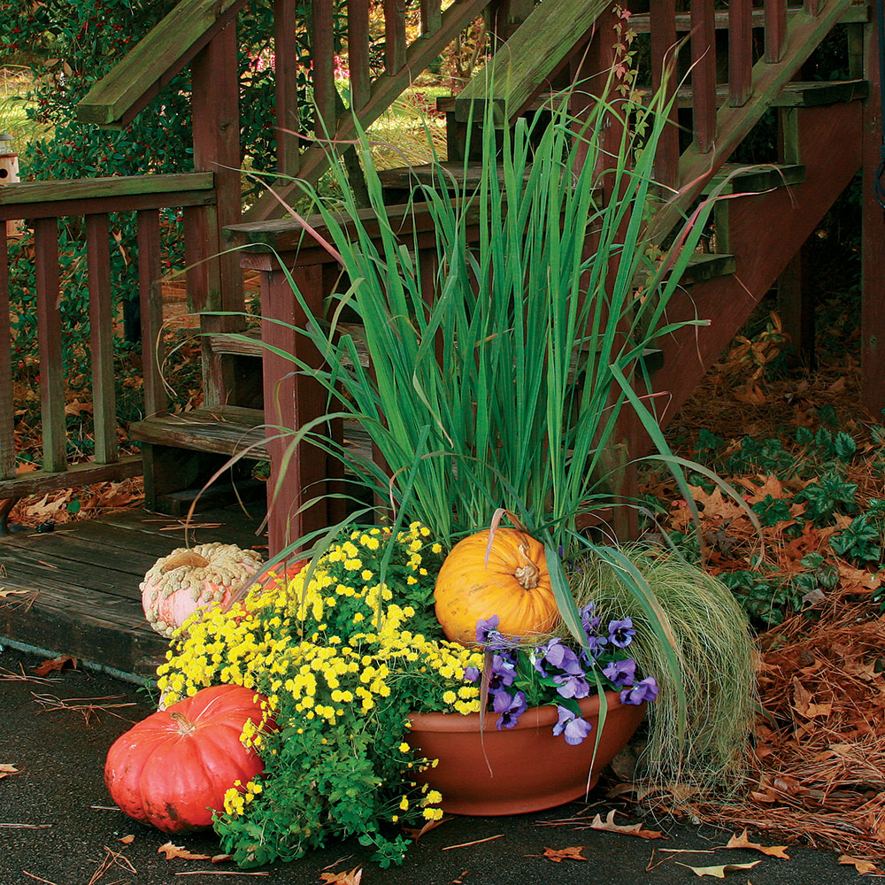 Keep food cold and decorative using planters.