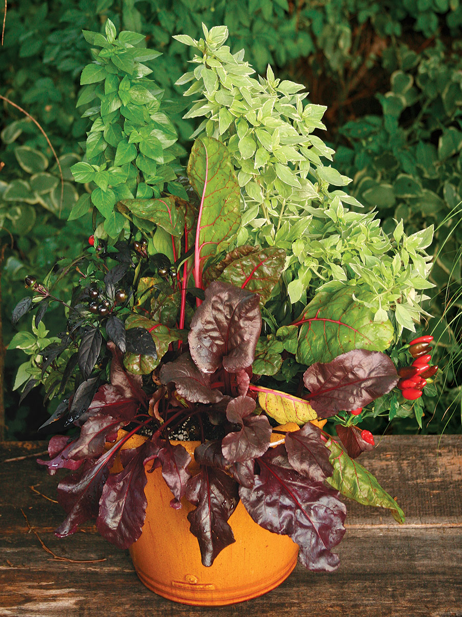 container with colorful edible plants