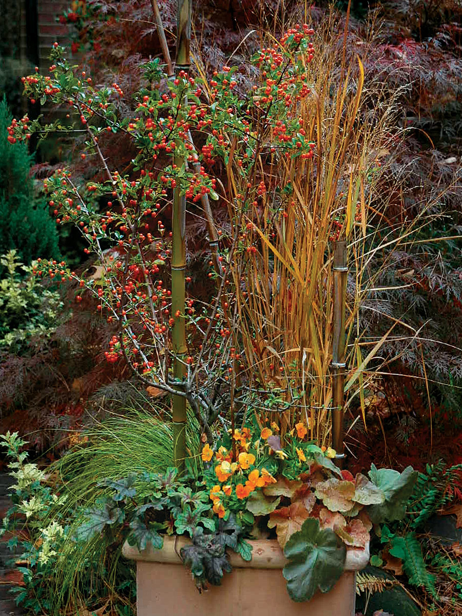 tall container with red berries, orange flowers and foliage