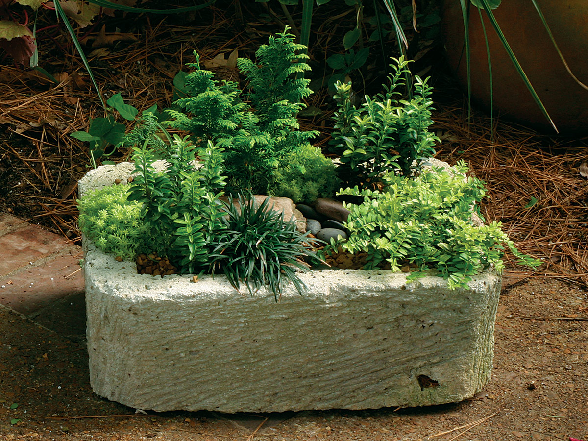 small concrete container with tiny foliage plants