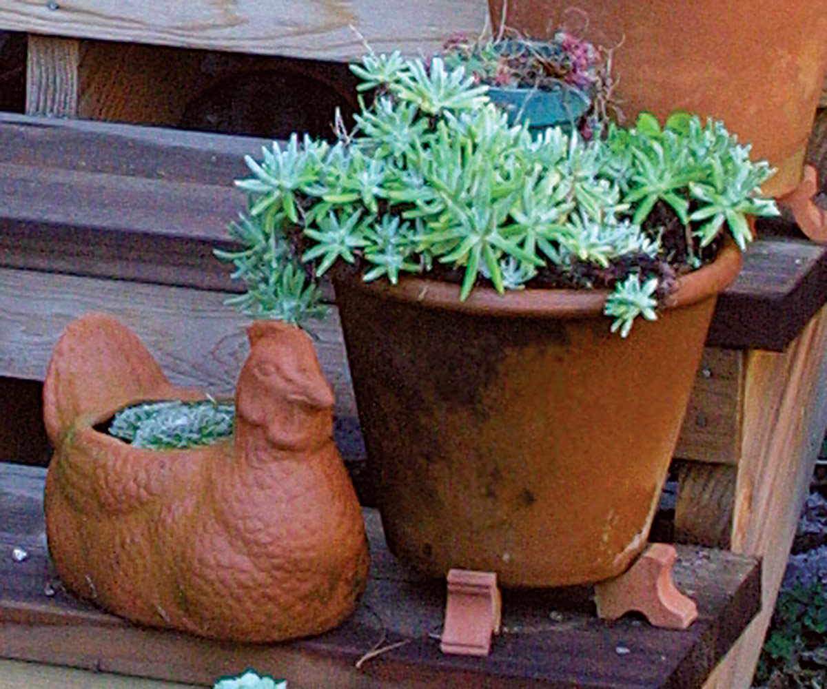 terra cotta container on pot feet