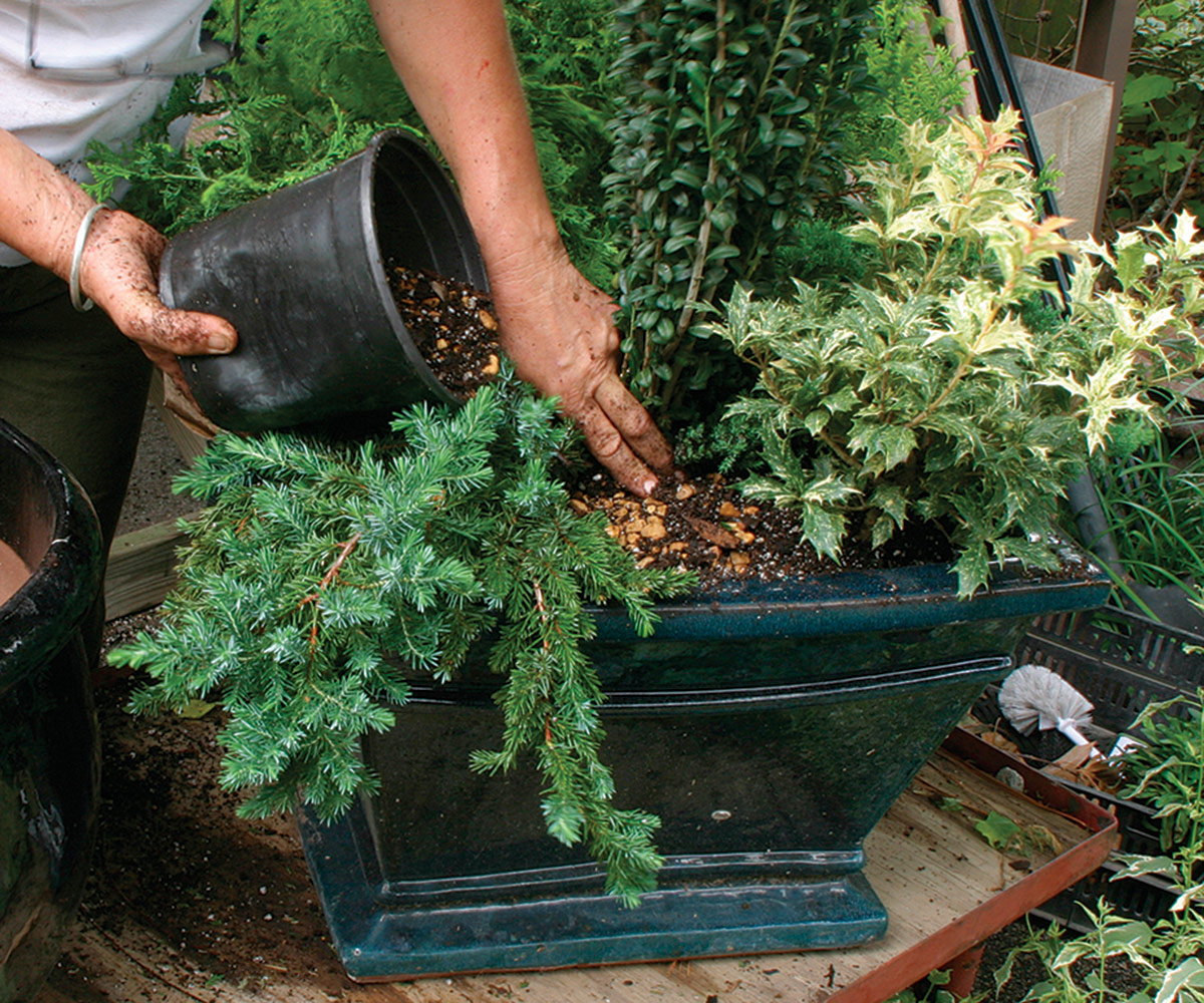 adding gravel to top of soil in container