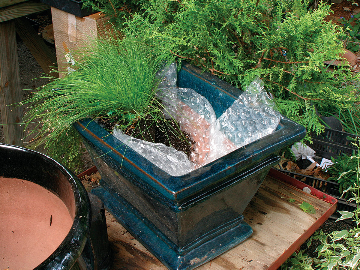 container lined with bubble wrap