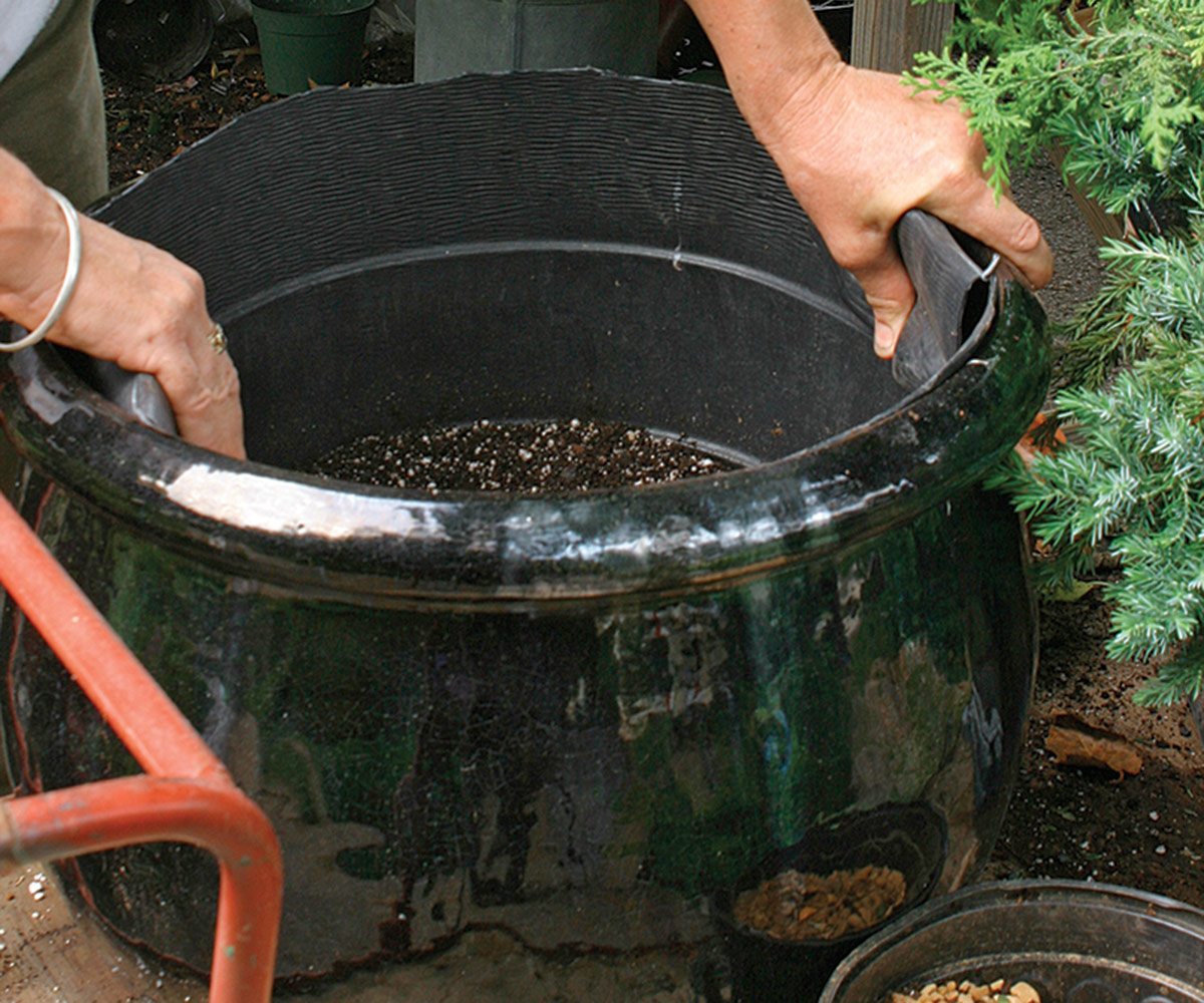 plastic pot cut to fit inside a larger ceramic pot