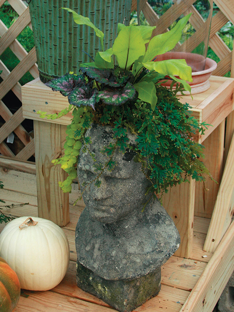 human bust container with various foliage plants