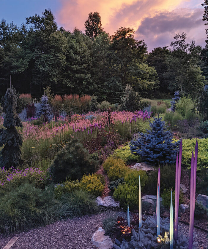 meadow garden at sunset