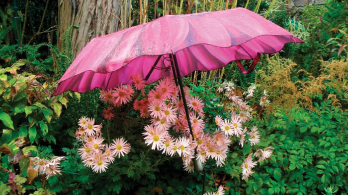 pink umbrella over pink flowers