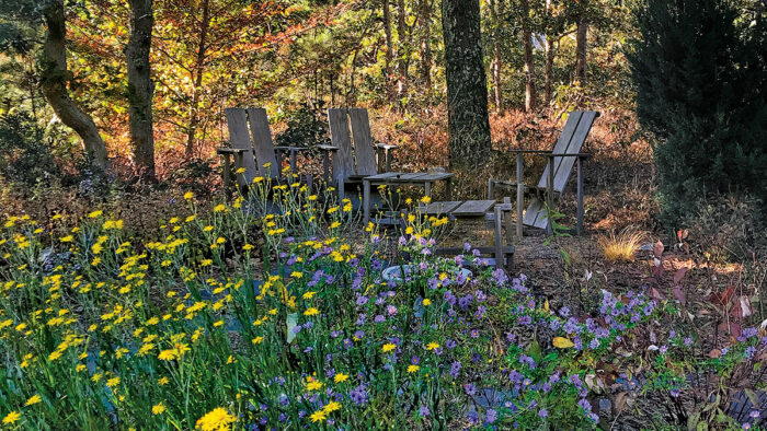 forest garden