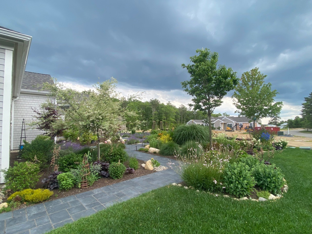 A New Garden in Massachusetts Fine Gardening