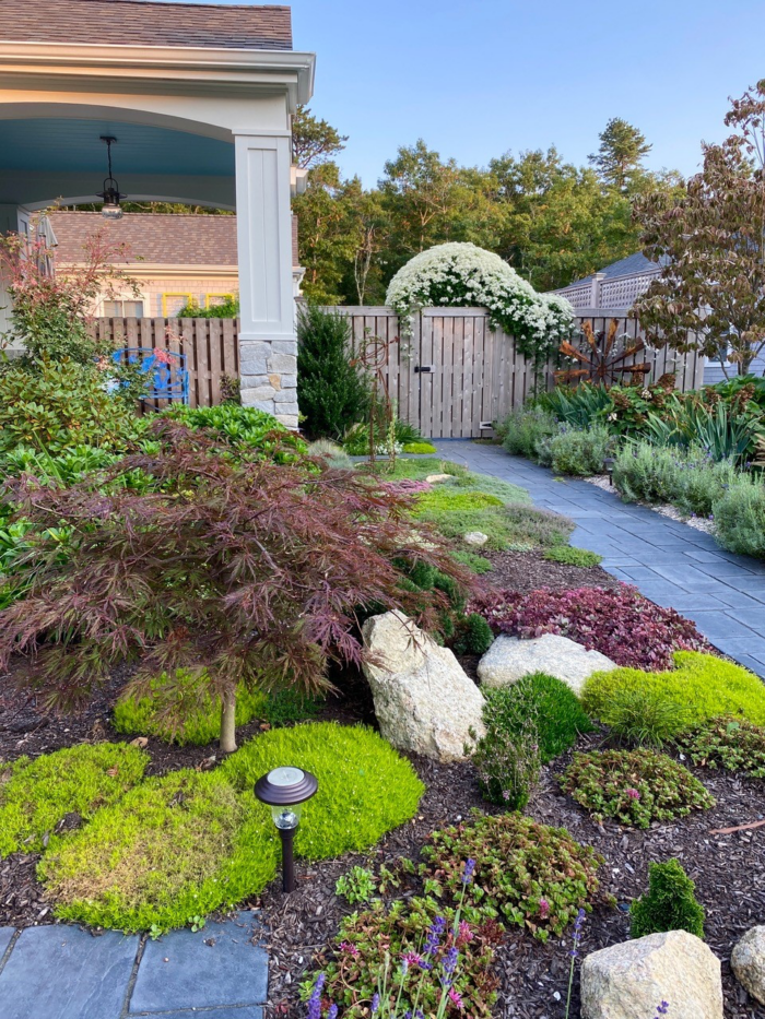 A New Garden in Massachusetts Fine Gardening