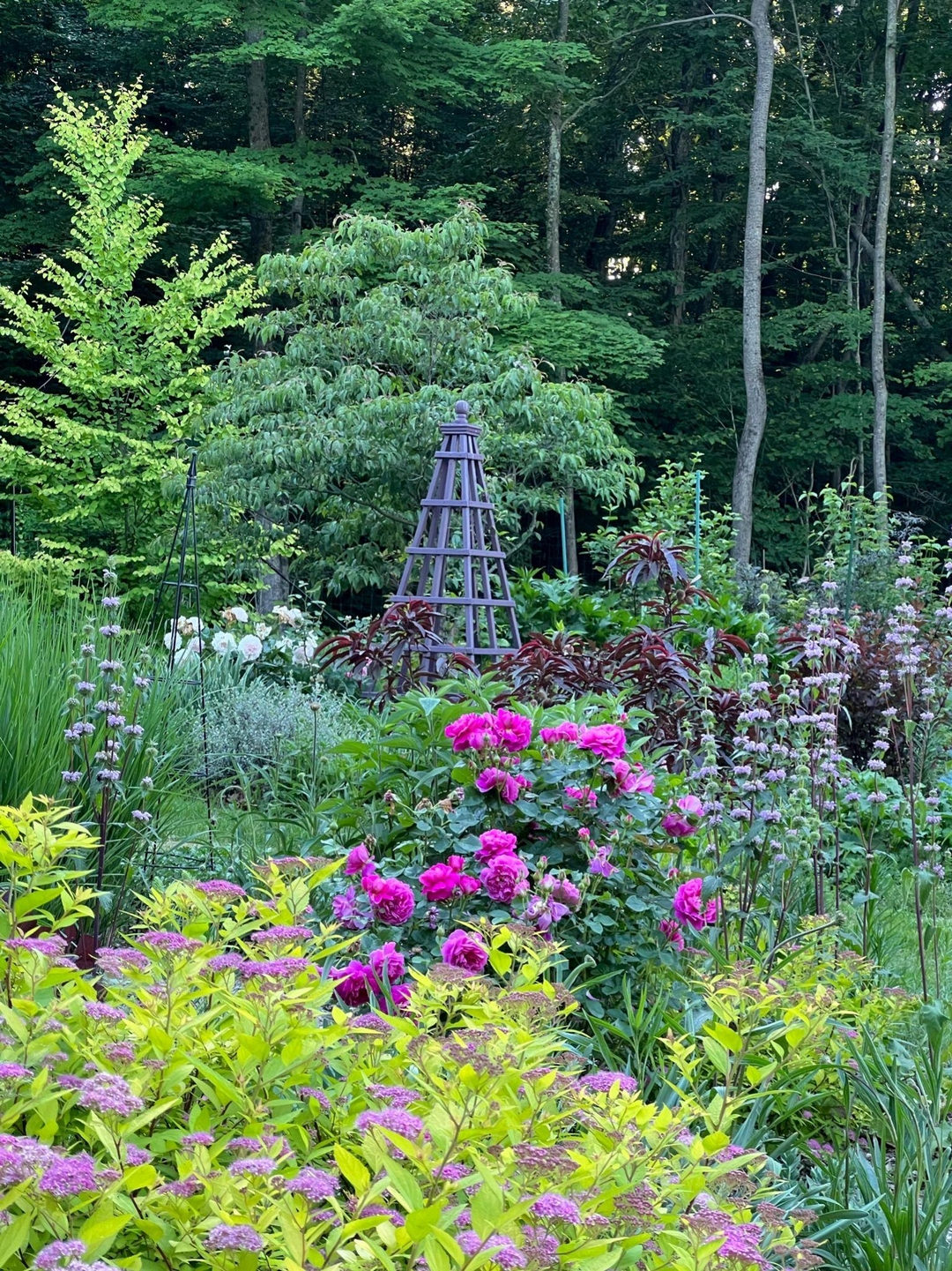 garden bed featuring purple flowers and foliage