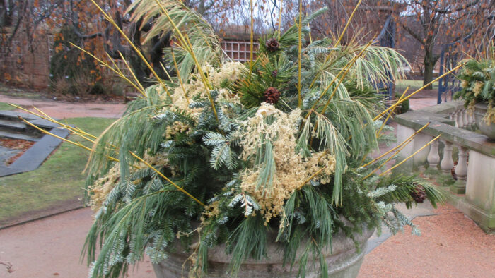 winter containers