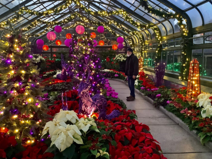 greenhouse decorated in holiday lights and winter plants