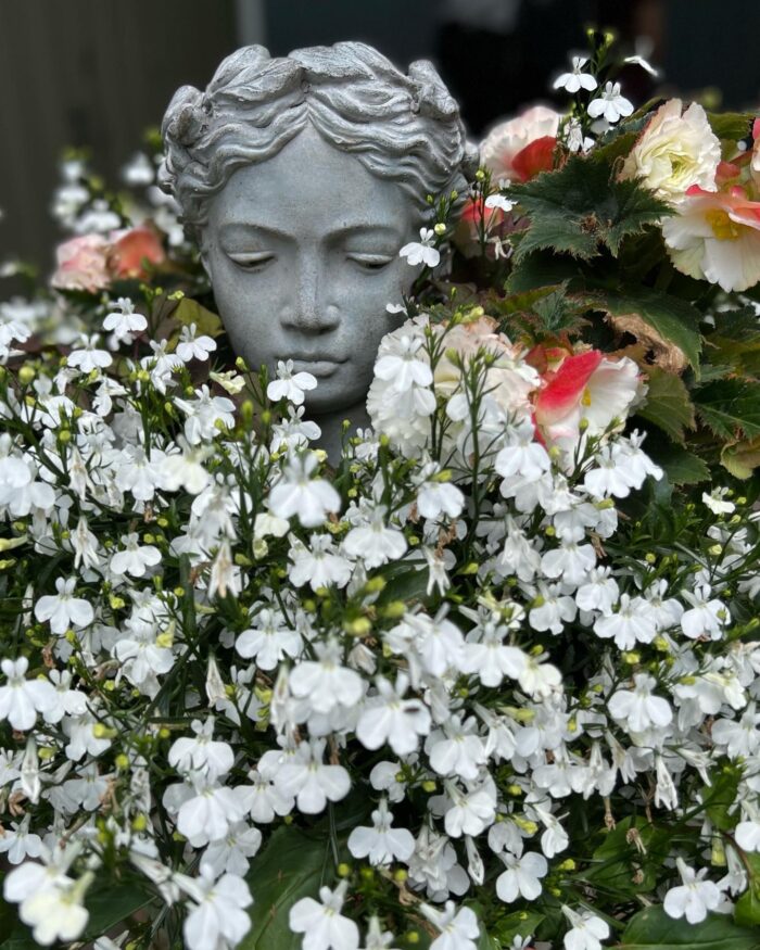 close up of container with statue and white flowers