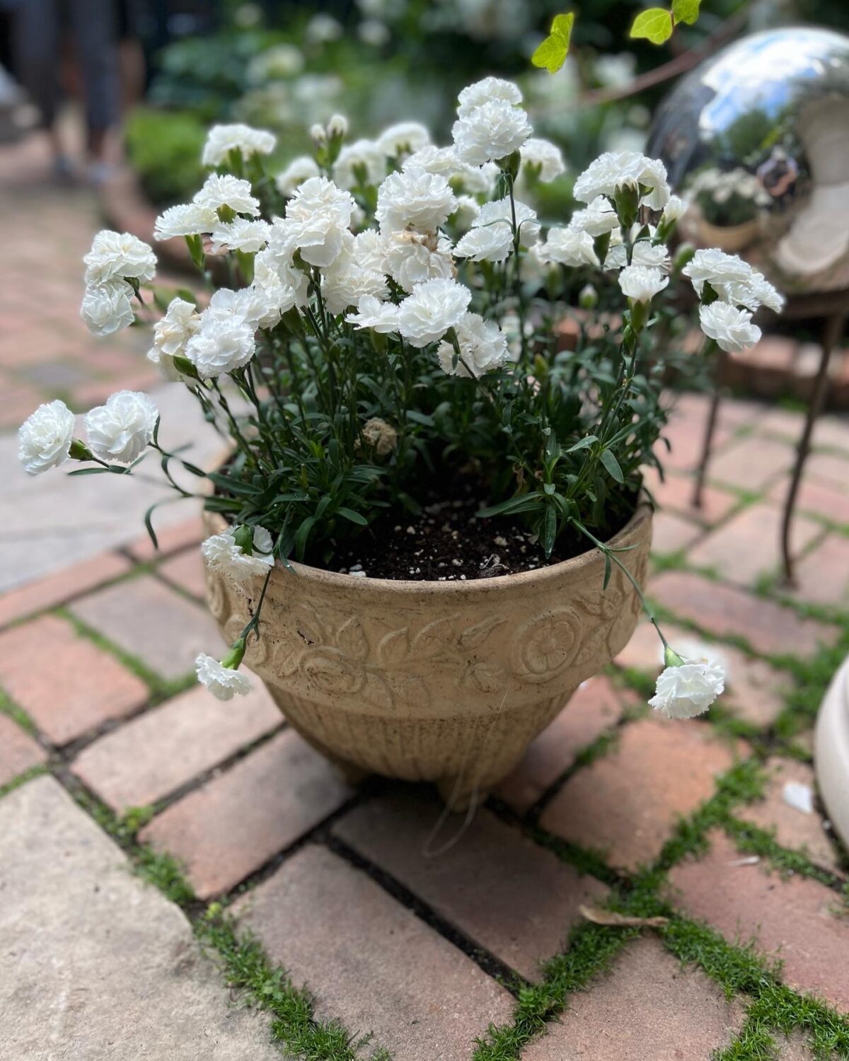 GPOD on the Road: Toronto Garden Tour - Fine Gardening