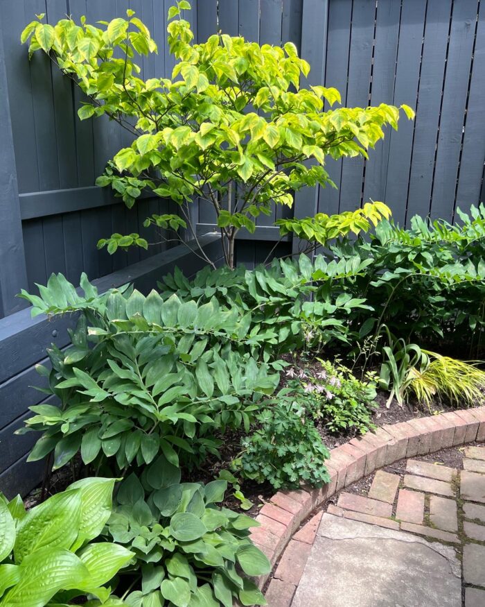 GPOD on the Road: Toronto Garden Tour - Fine Gardening