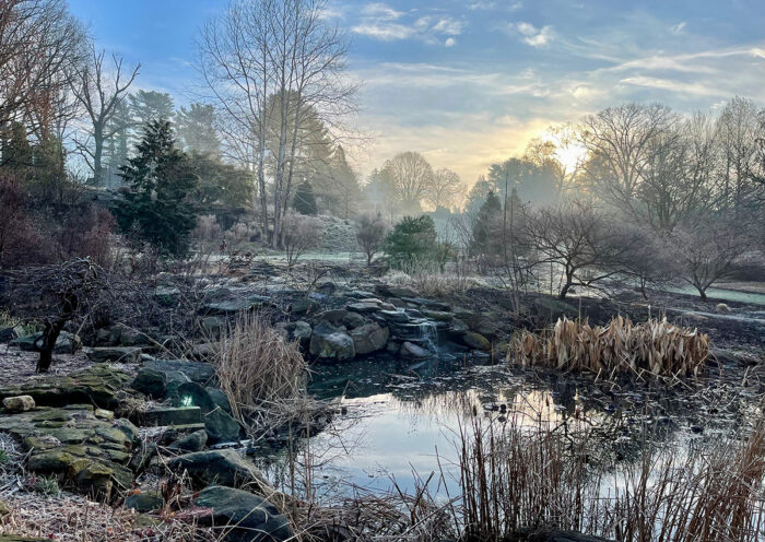 winter garden inspiration