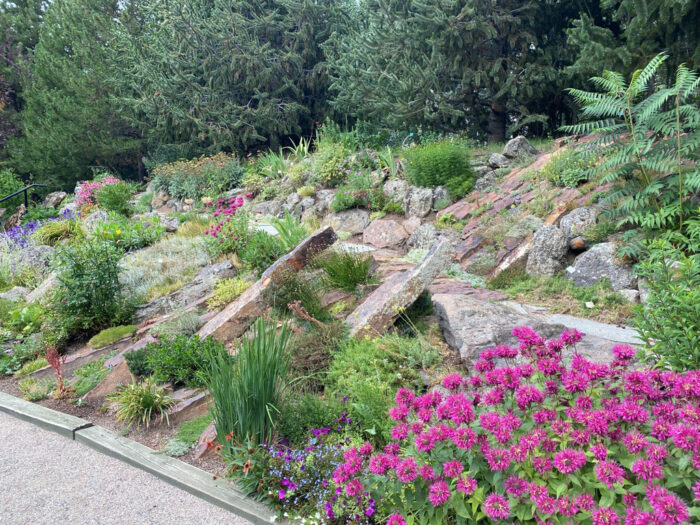 Yampa River Botanic Park rock garden