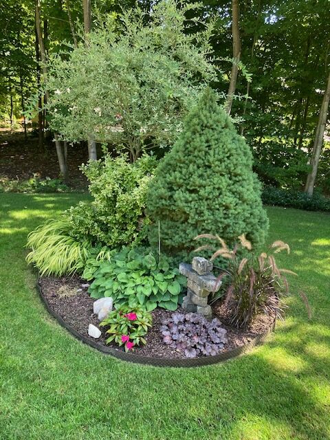 small round garden with shrubs and small tree