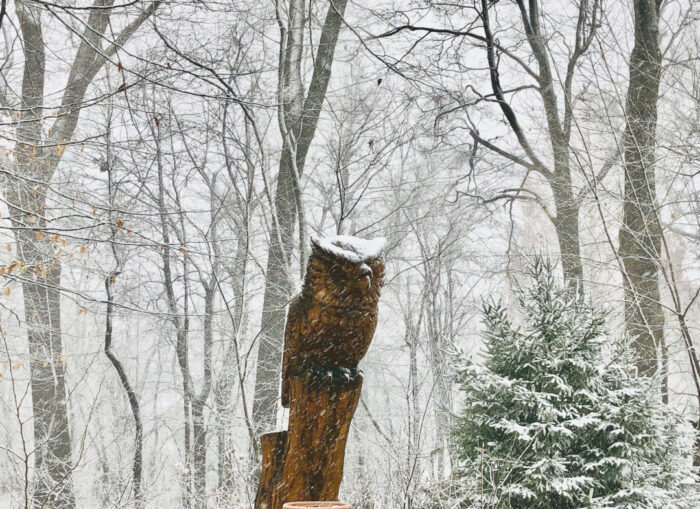 garden during a snow storm