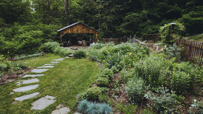 native woodland garden