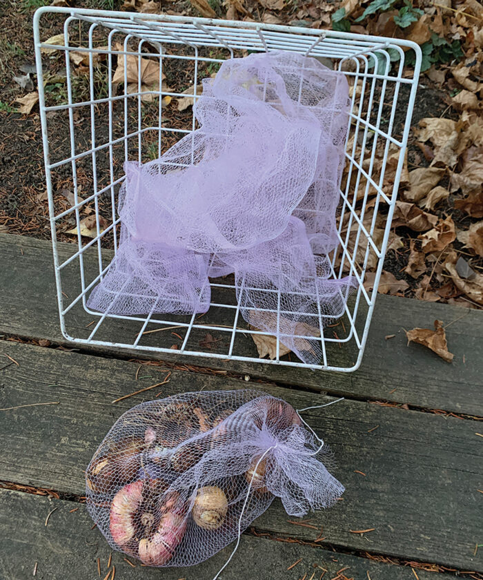 mesh bags for winter bulb storage